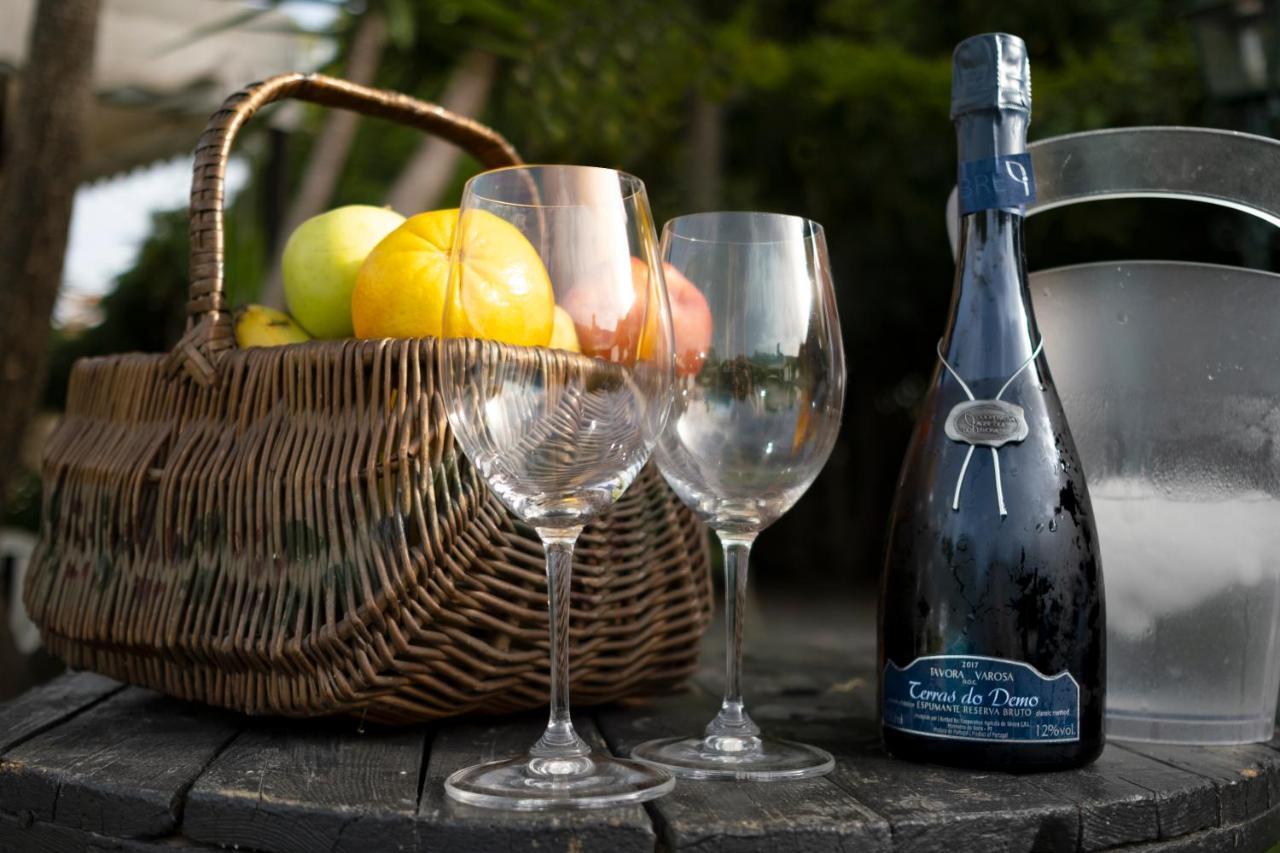 Quinta Do Carvalhal Alojamento, Penafiel Irivo エクステリア 写真