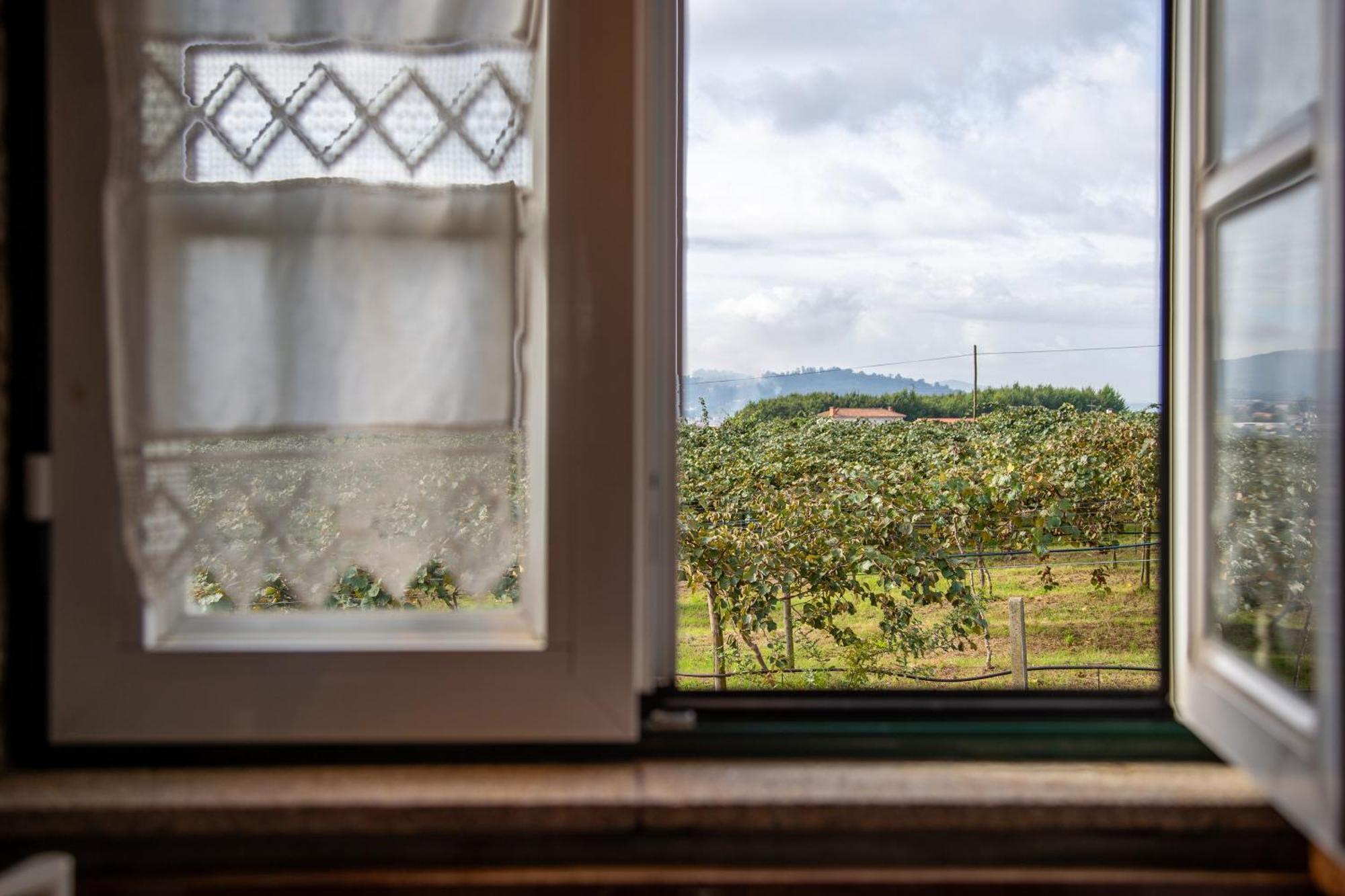 Quinta Do Carvalhal Alojamento, Penafiel Irivo エクステリア 写真