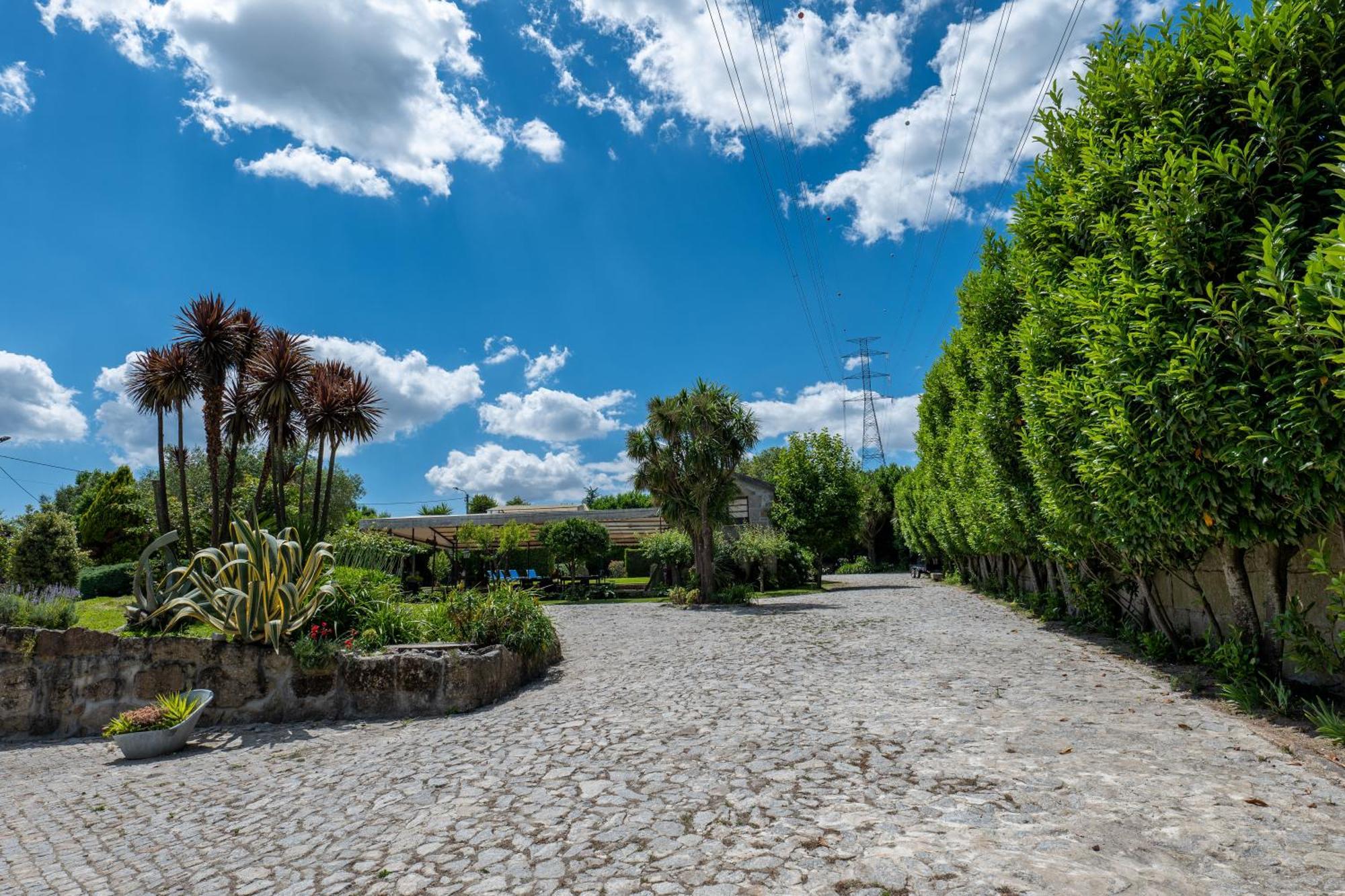 Quinta Do Carvalhal Alojamento, Penafiel Irivo エクステリア 写真